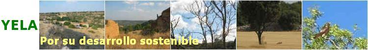 YELA - Por su desarrollo sostenible